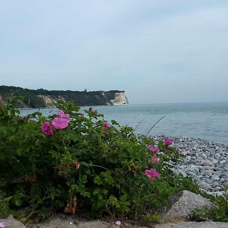 Hering Fewo I Apartment Terrace Wiek auf Rügen 외부 사진
