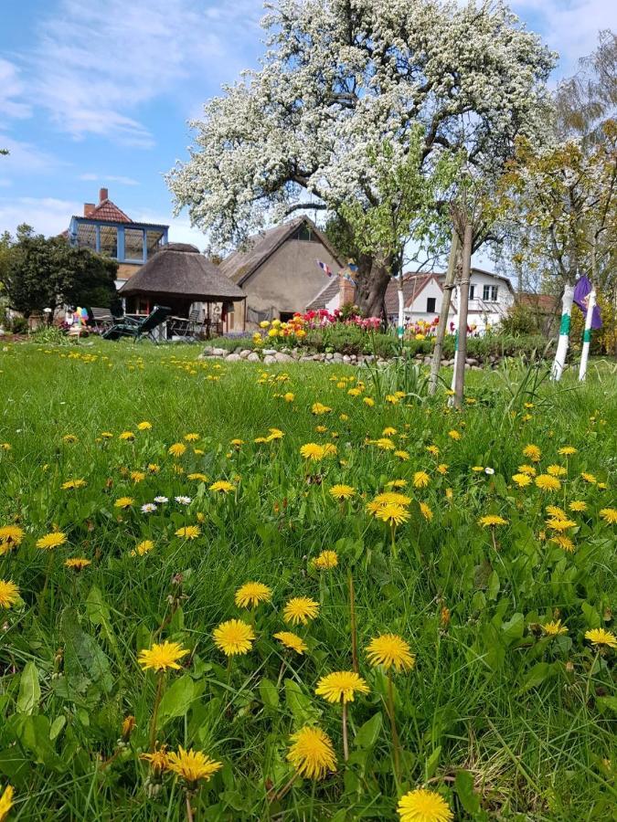 Hering Fewo I Apartment Terrace Wiek auf Rügen 외부 사진
