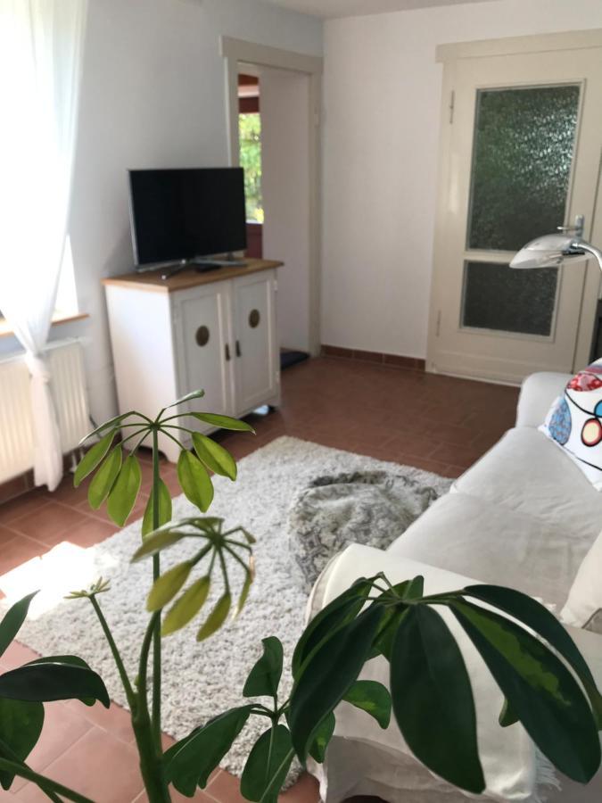 Hering Fewo I Apartment Terrace Wiek auf Rügen 외부 사진