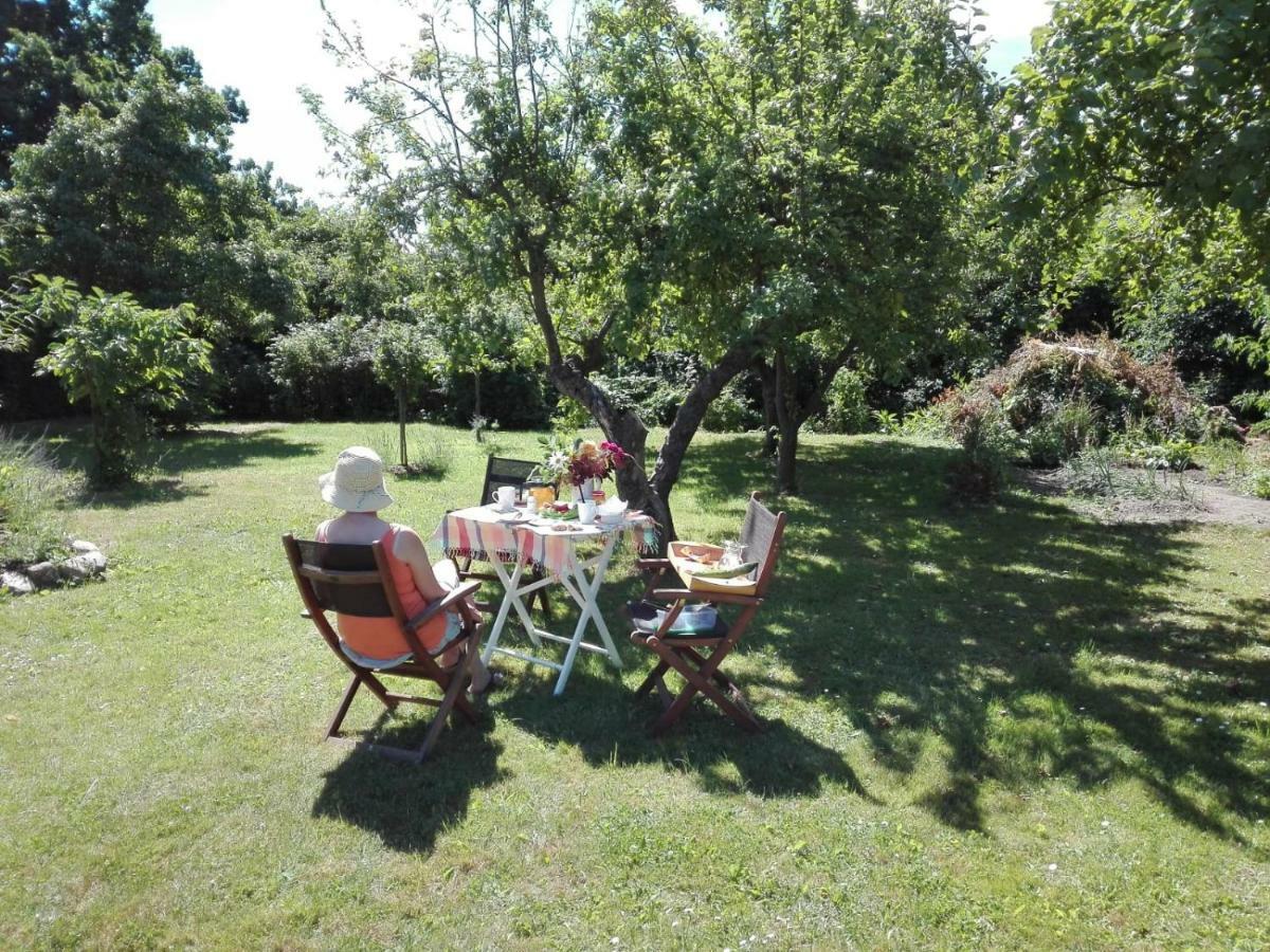 Hering Fewo I Apartment Terrace Wiek auf Rügen 외부 사진